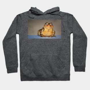 a personable toad Hoodie